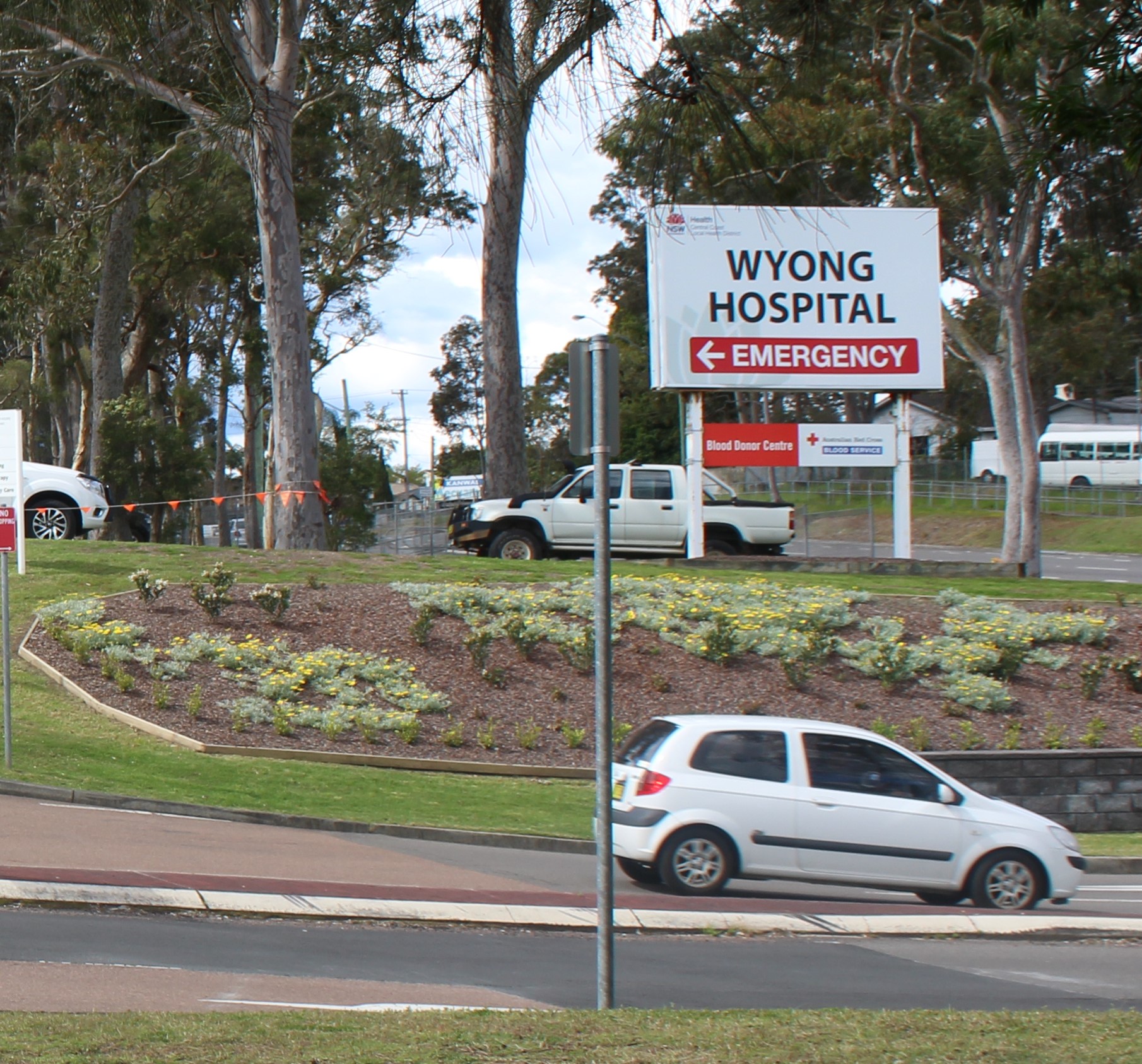 Coasties Miss Out on GPs ... Again Main Image