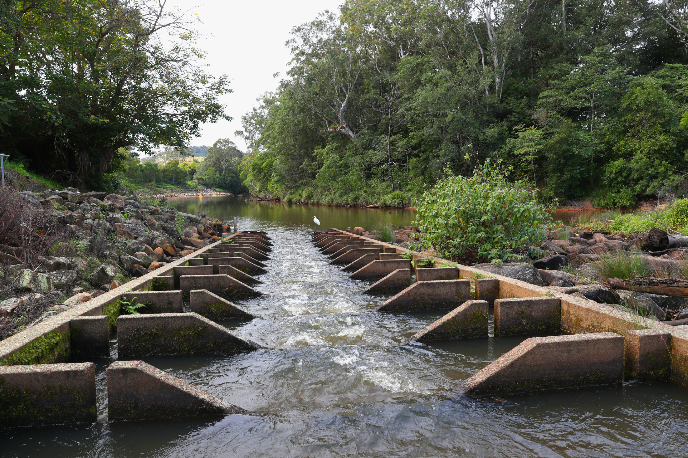 Guidelines Released for New Regional Grants Program Main Image