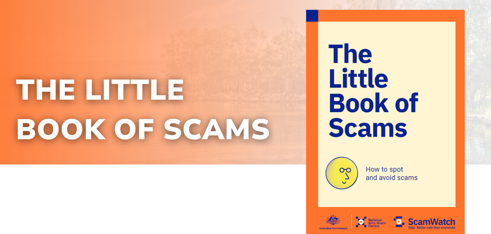 The Little Book of Scams