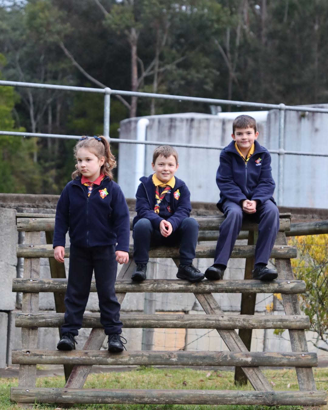 Boost to Dobell Volunteering Main Image